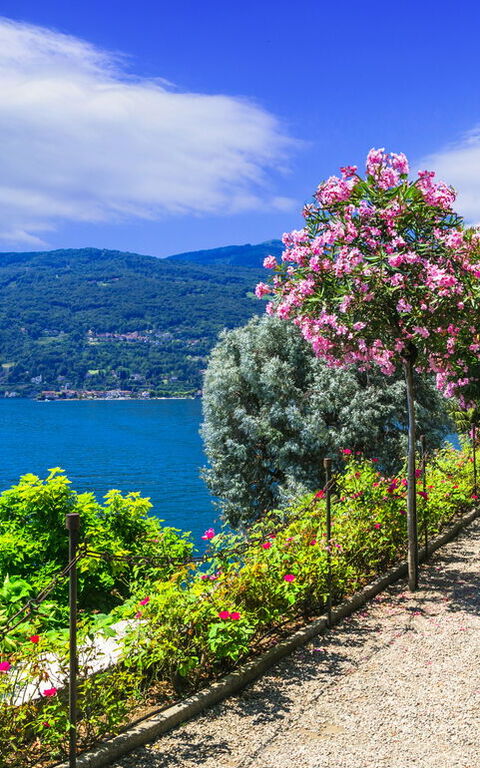 The Best Time to Travel Stress-Free