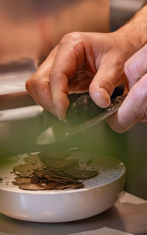 Discover the Ultimate Truffle Hunting Experience in Tuscany and Umbria