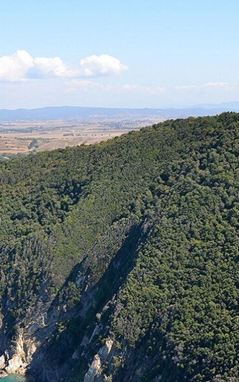 Baratti and Populonia