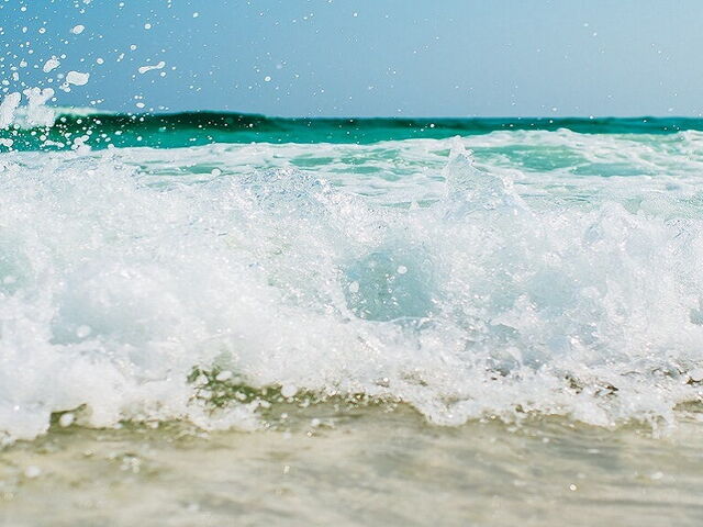 A Tour between the 7 Islands of the Tuscan Archipelago