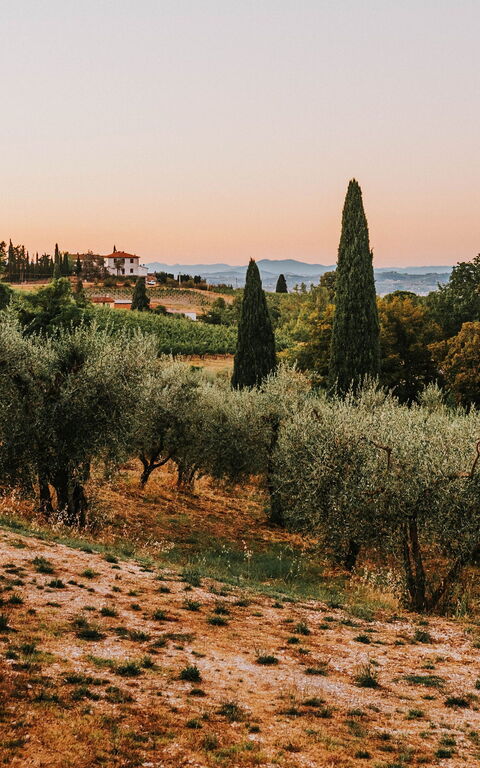The trend of "Do Nothing" under the Mediterranean sun