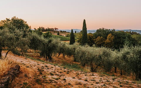 The "Vacation from the Vacation": the Art of Slowing Down in an Exclusive Villa This September