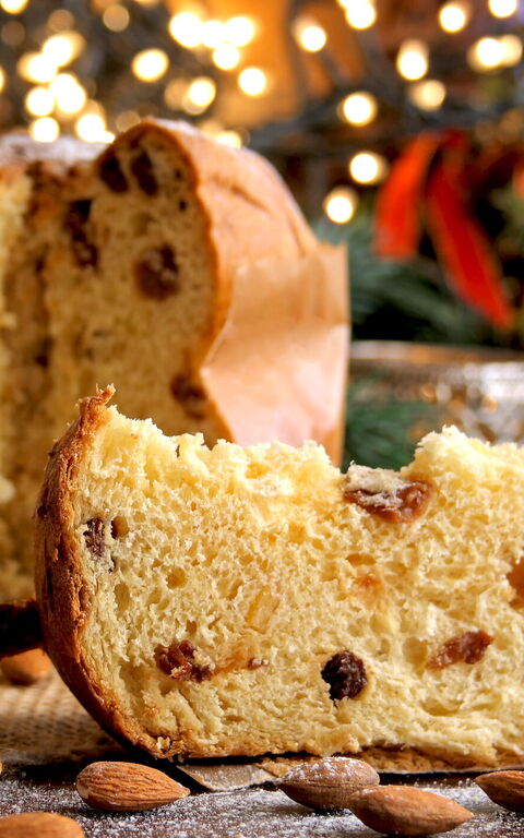 Discovering the Christmas cake par excellence