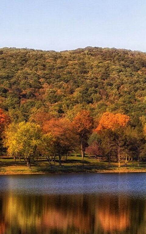 Why visit Italy in Autumn