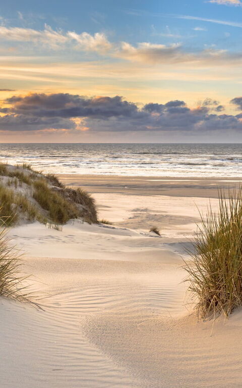 Luxury Meets Sustainability: Your Guide to Sustainable Villas in Italy and Greece