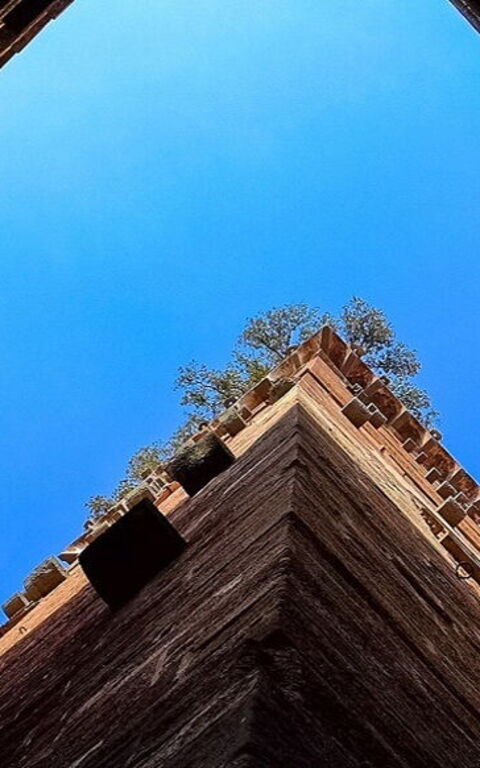 The Medieval Towers of Lucca