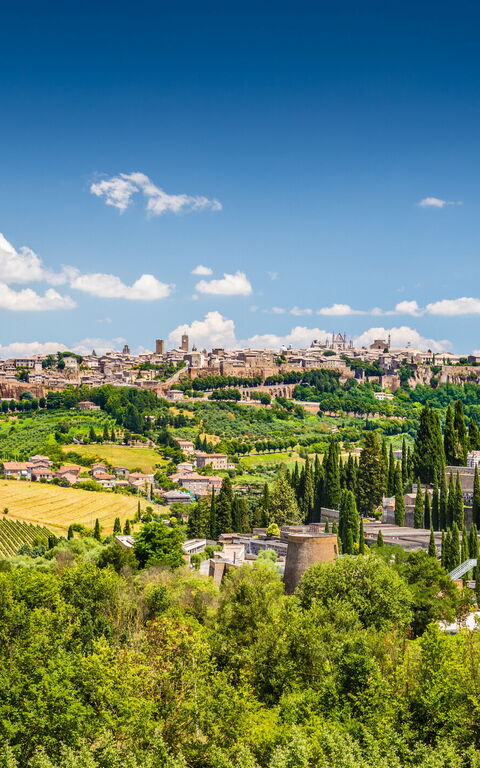 Typical flavours and must-try dishes