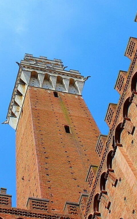 What to see in Siena