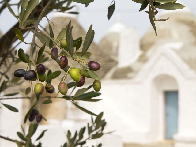 10 Traditional Dishes from Puglia You Don'T Want to Miss