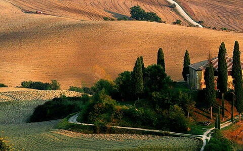 When Nature Performs: the Theatre of Silence.