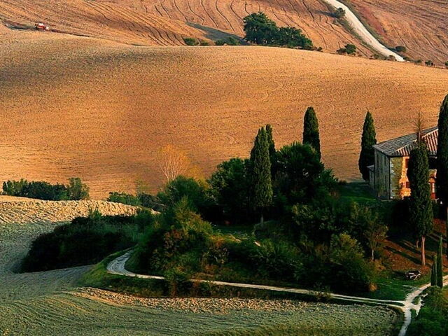 When Nature Performs: the Theatre of Silence.