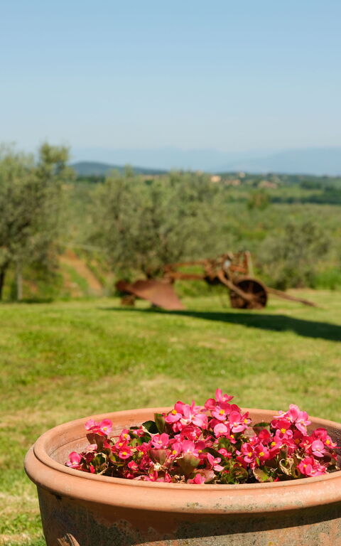 Pozzo Dei Desideri: Building Exterior, Garden, Outdoor, Scenic View