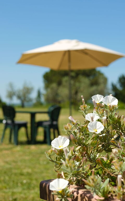 Pozzo Dei Desideri: Building Exterior, Garden, Outdoor