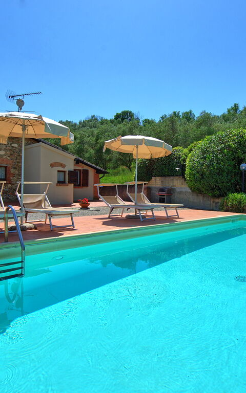 Cuccardino: Outdoor, Pool