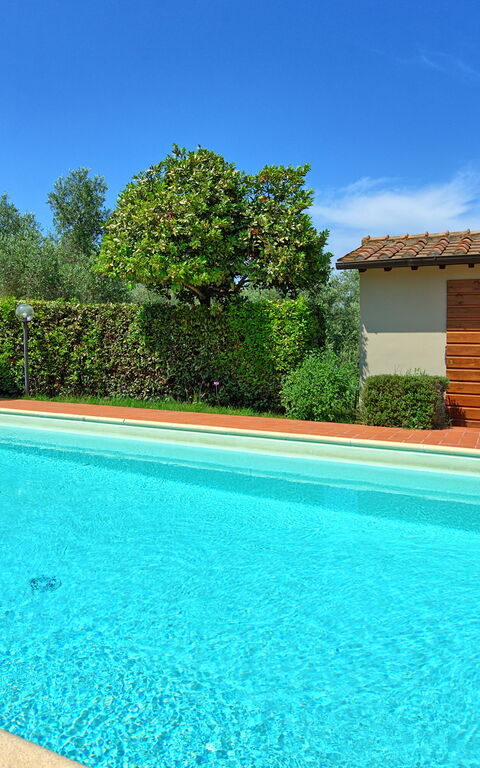 Cuccardino: Outdoor, Pool