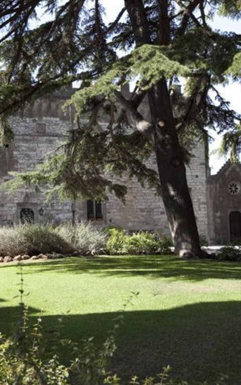 Castello Leopoldo: Garden