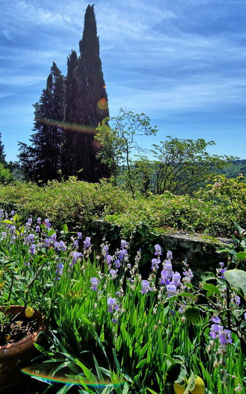 Montegufoni: Garden, Scenic View