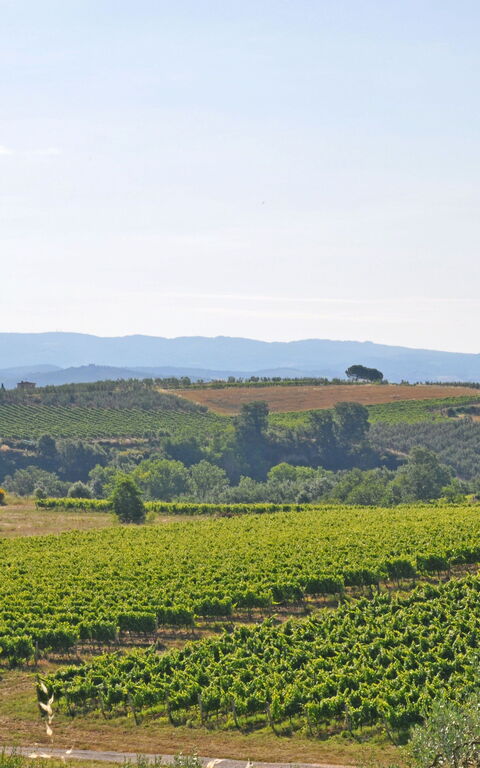 I Glicini: Scenic View