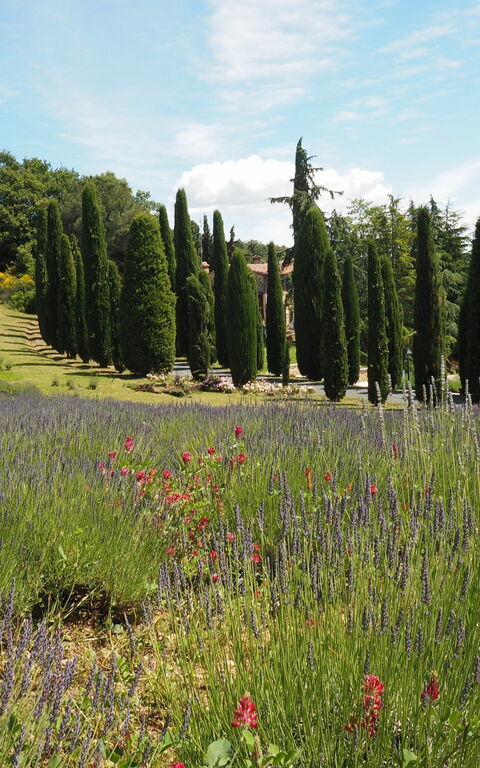 Cornocchio: Scenic View