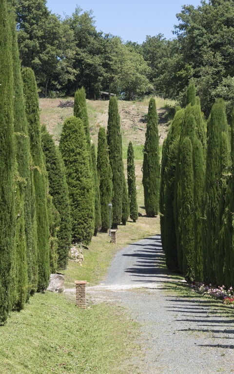 Cornocchio: Scenic View