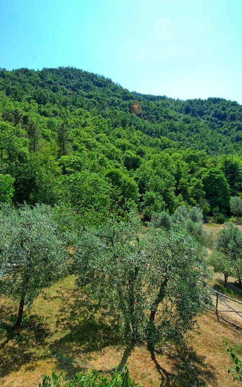Poggio Conca: Outdoor, Scenic View