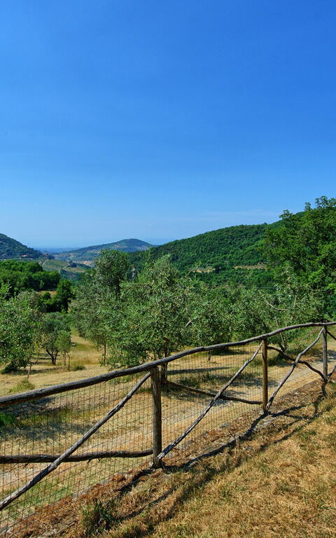 Poggio Conca: Garden