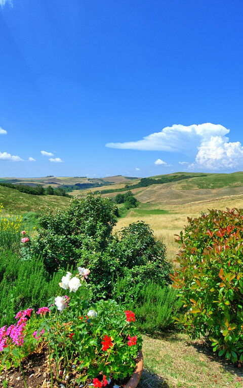 Castelmuzio: Scenic View