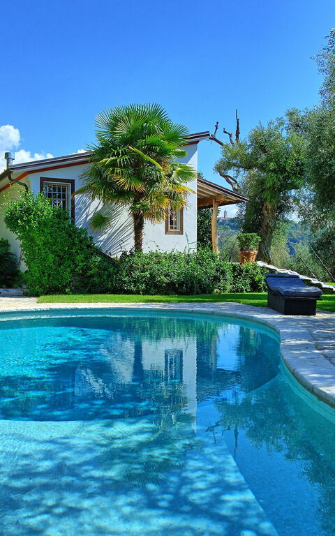 Villa Oliveta: Pool, Summer
