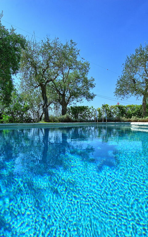 Villa Oliveta: Pool, Scenic View, Summer