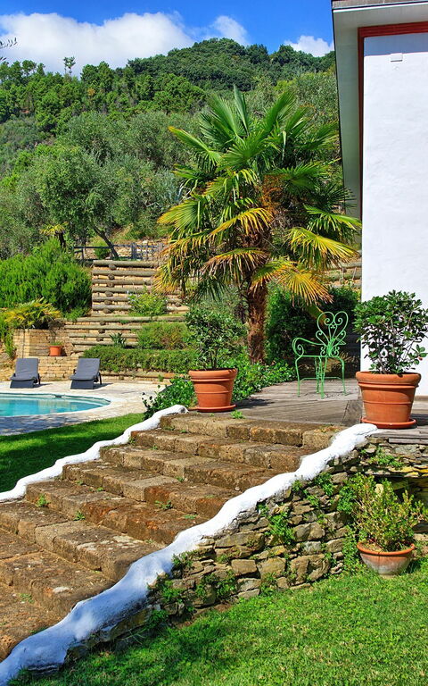 Villa Oliveta: Garden