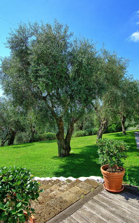 Villa Oliveta: Pool, Scenic View