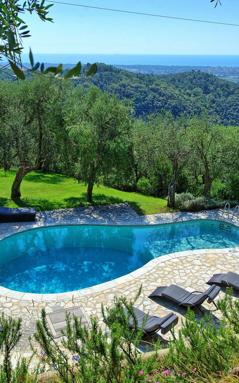 Villa Oliveta: Pool, Scenic View