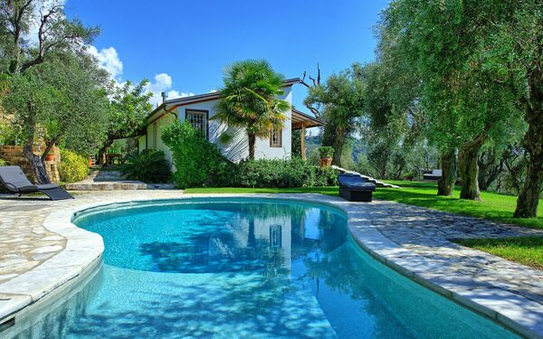 Villa Oliveta: Pool, Summer