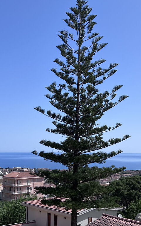 Castellammare: Scenic View