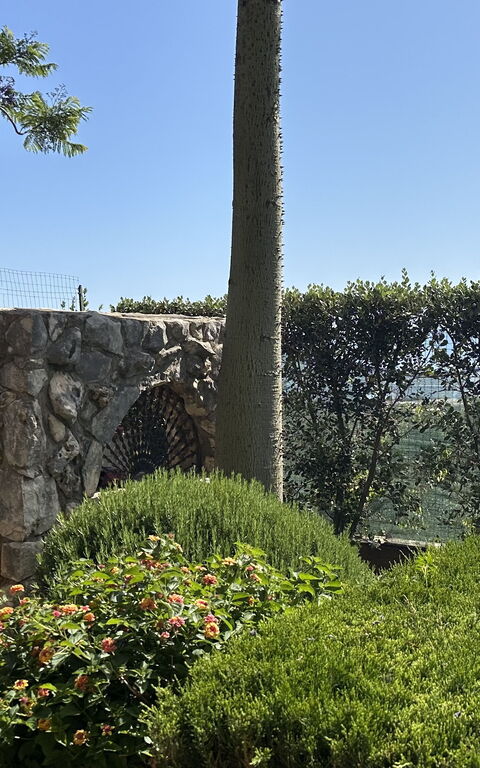 Castellammare: Building Exterior, Garden