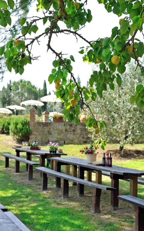 Montelopio: Garden, Outdoor