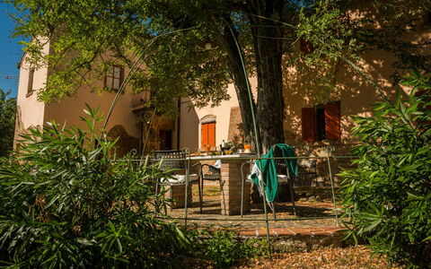 Accommodation Montelopio 4: Garden, Outdoor