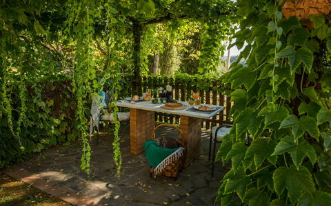 Accommodation Montelopio 8: Garden, Outdoor