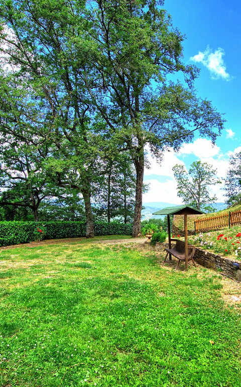 Villa Margherita: Garden