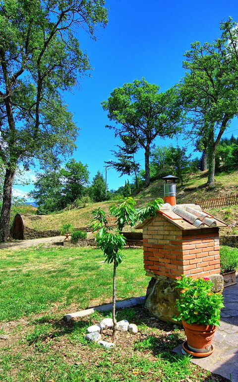 Villa Margherita: Garden