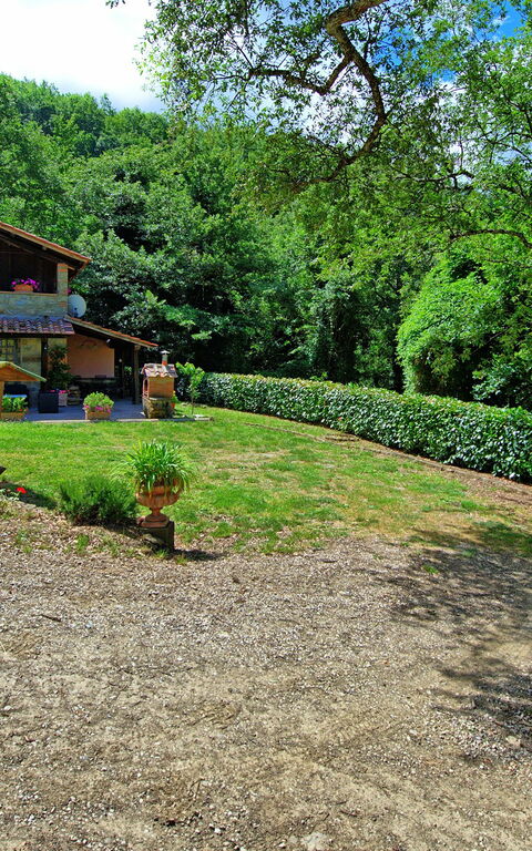 Villa Margherita: Garden