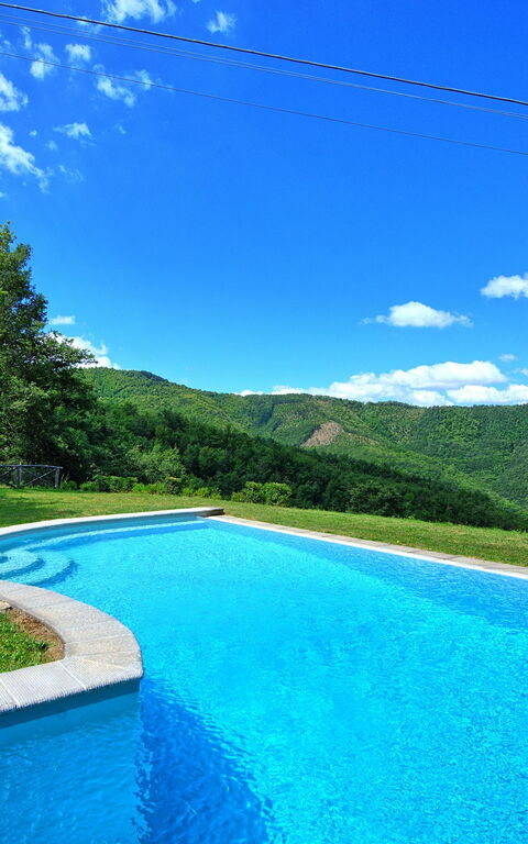 Villa Margherita: Pool