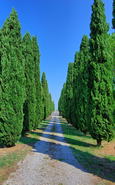 Casale Giulio: Scenic View