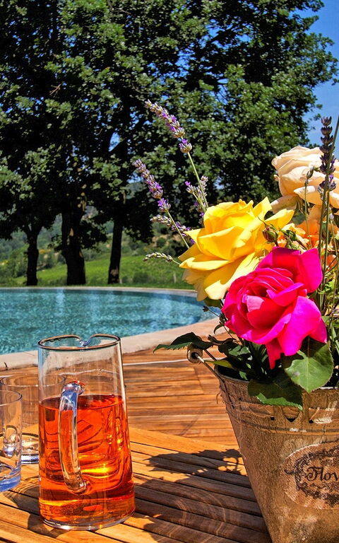 Villa Petrognano: Outdoor, Pool, Scenic View