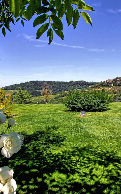 Villa Petrognano: Garden, Outdoor, Pool, Scenic View