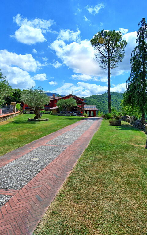 Villa Contessa: Garden