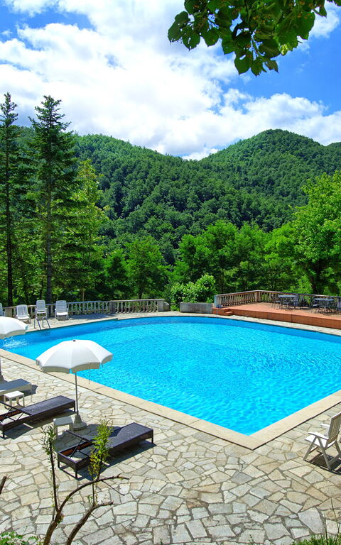 Villa Contessa: Garden, Pool