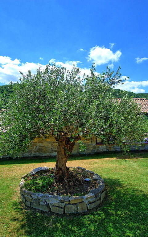 Villa Contessa: Building Exterior, Garden