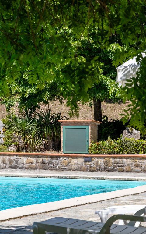 Villa Contessa: Garden, Outdoor, Pool