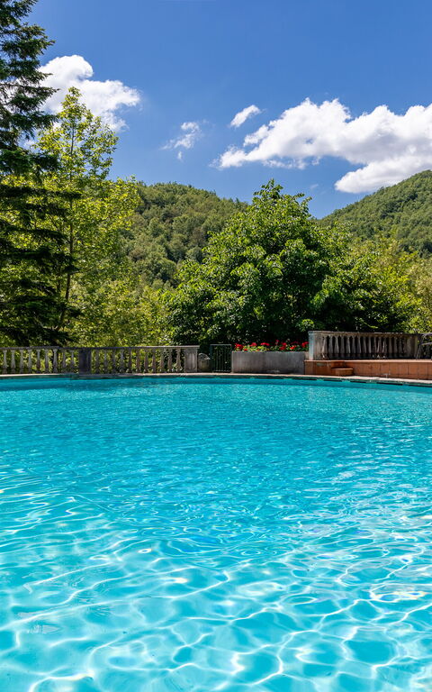 Villa Contessa: Outdoor, Pool
